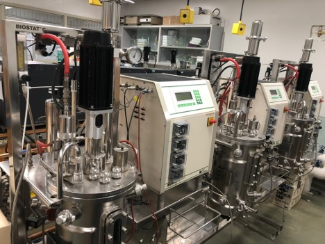 Picture of Fermentation Pilot Plant