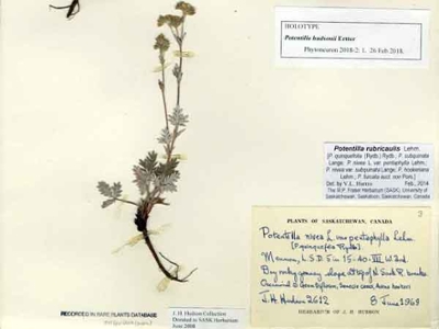 Picture of Fraser Herbarium