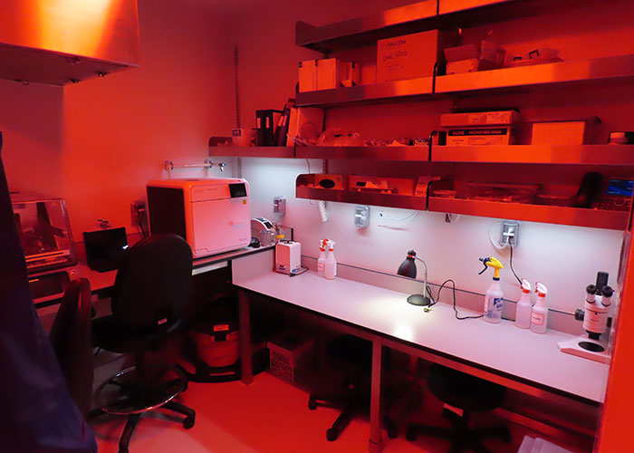 work bench