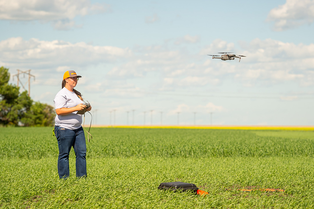 USask graduate student Kaylie Krys flies a drone above a Saskatchewan crop. (Photo: Chris Hendrickson)