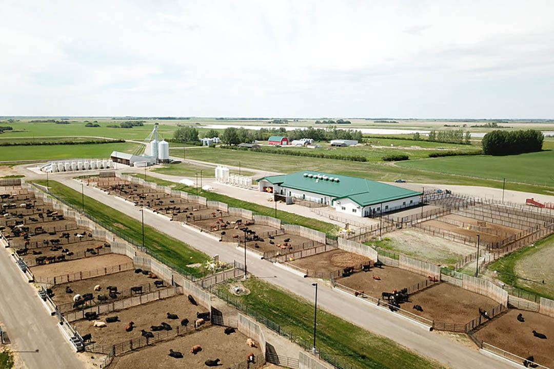 An aerial view of the University of Saskatchewan’s (USask) Livestock and Forage Centre of Excellence (LFCE). (Photo: USask)