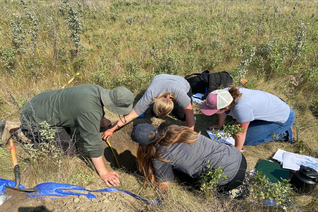 Students in the EVSC 380 Grassland Soils and Vegetation field course examine Orthic Dark Brown Chernozem soil at the Northeast Swale. (Photo: Submitted)