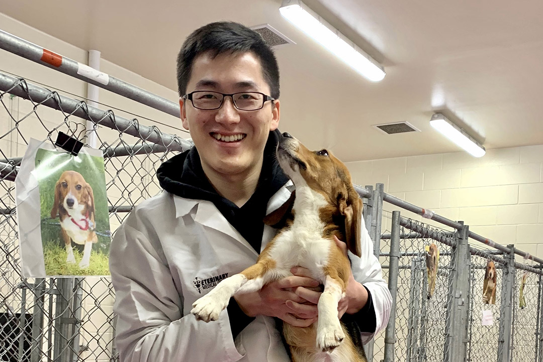 Yikai Ren with one of the research beagles who participated in his low-glycemic pet food study. (Photo: Submitted)