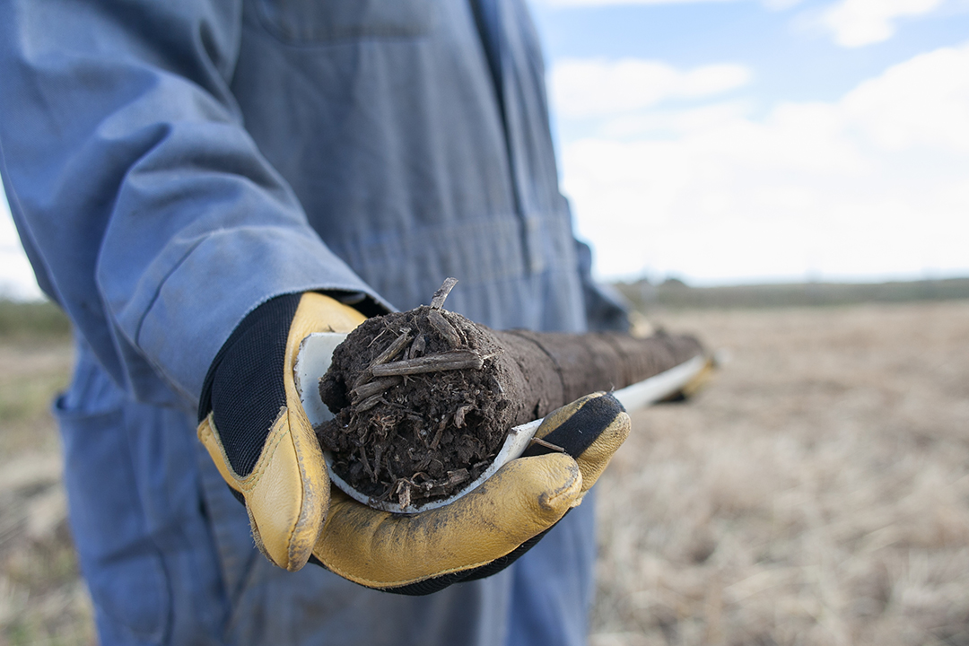 A closeup of a soil sample that was collected using a probe. Photo: Christina Weese.