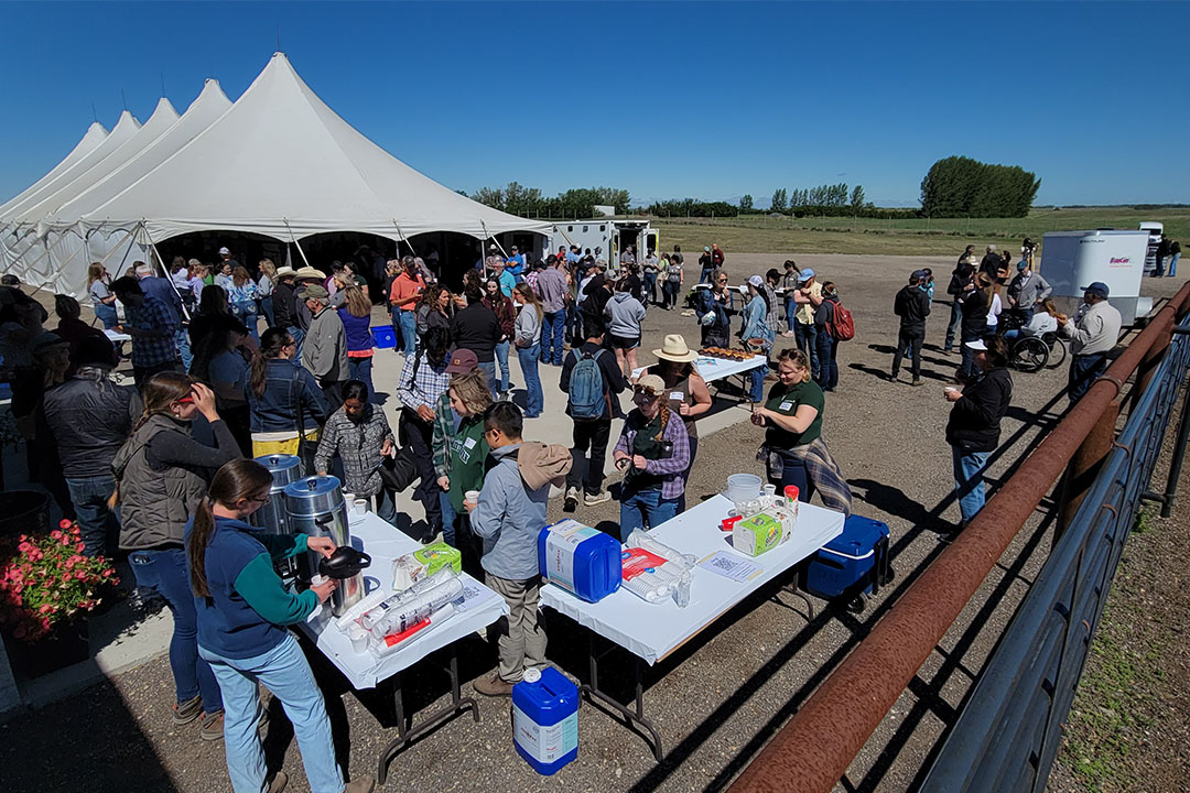 More than 250 people attended the annual summer field day on June 20. Photo: Cindy Wright