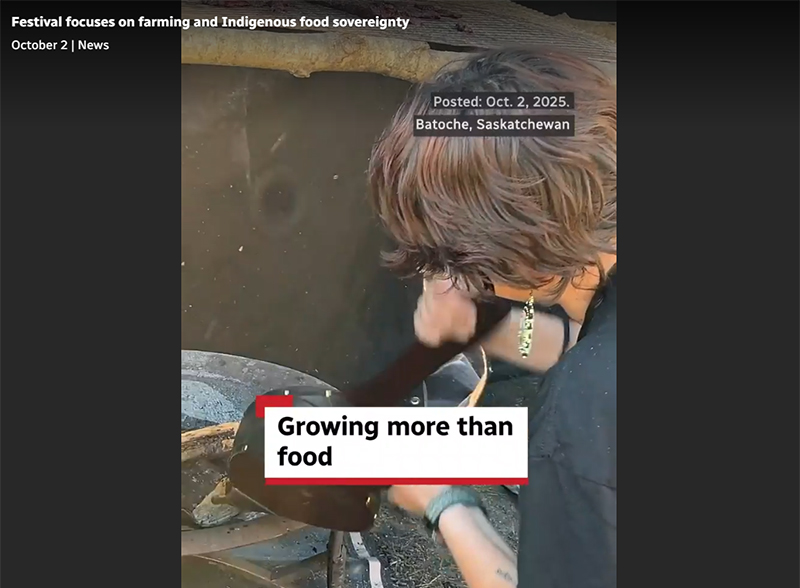 Every Seed Has a Story Article