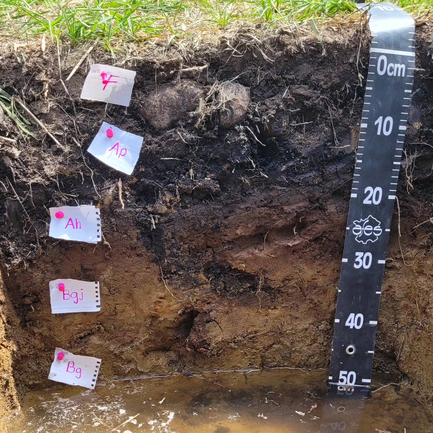 Soil pit