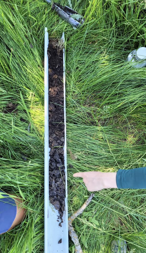 Soil core