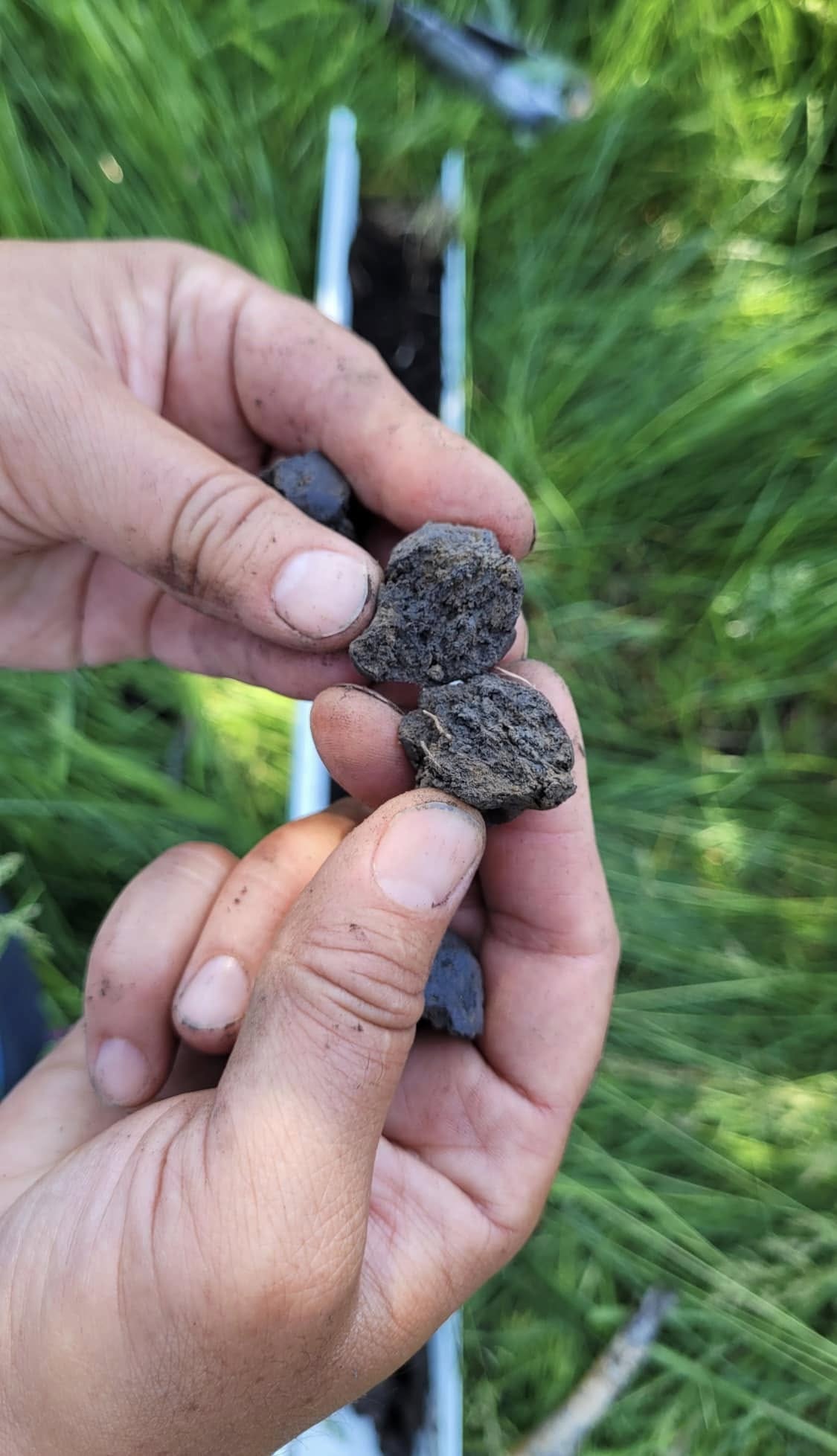 Soil clod