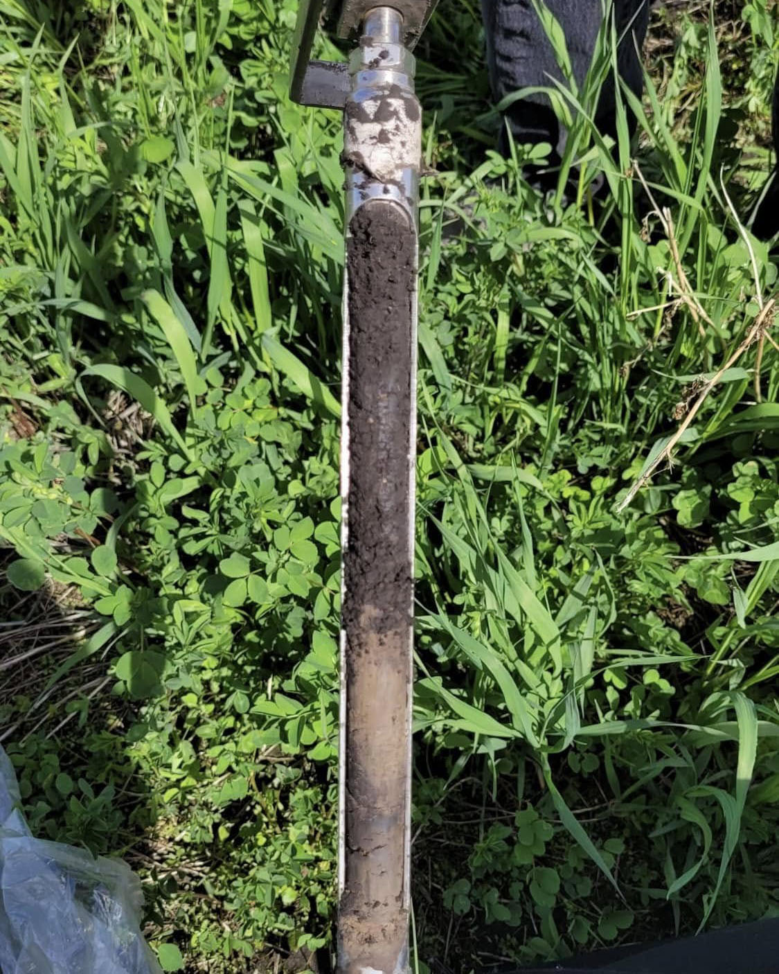 Soil core