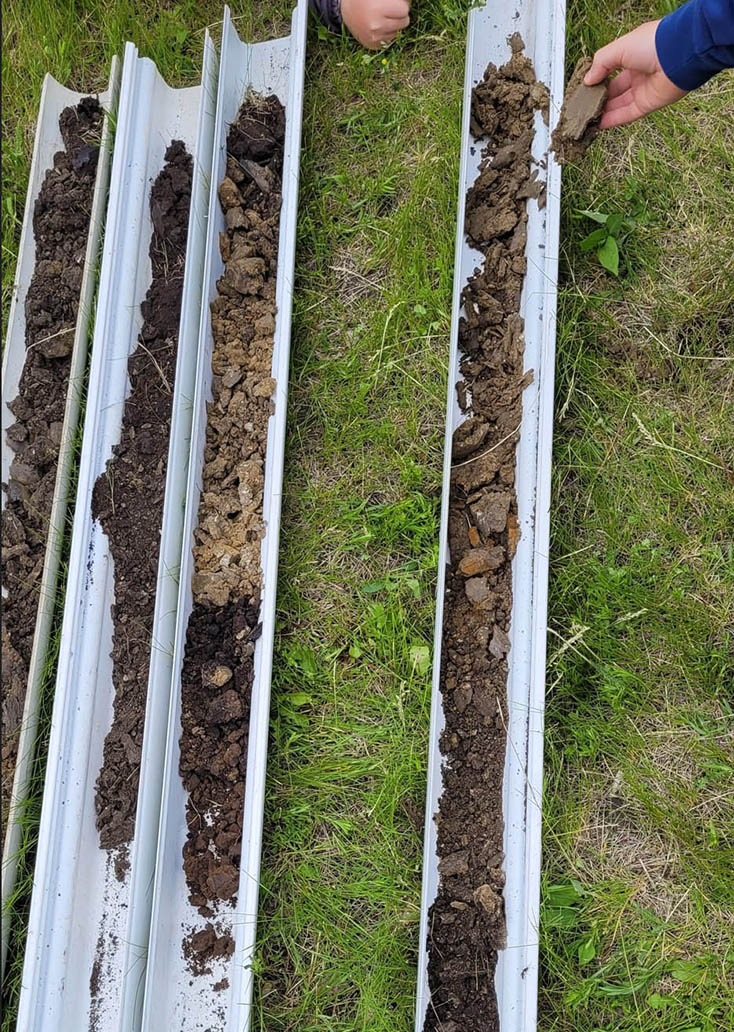 Soil cores
