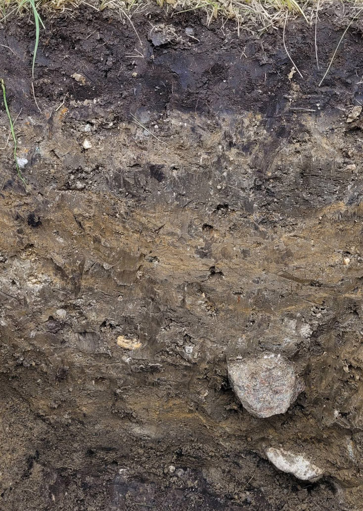 Soil pit