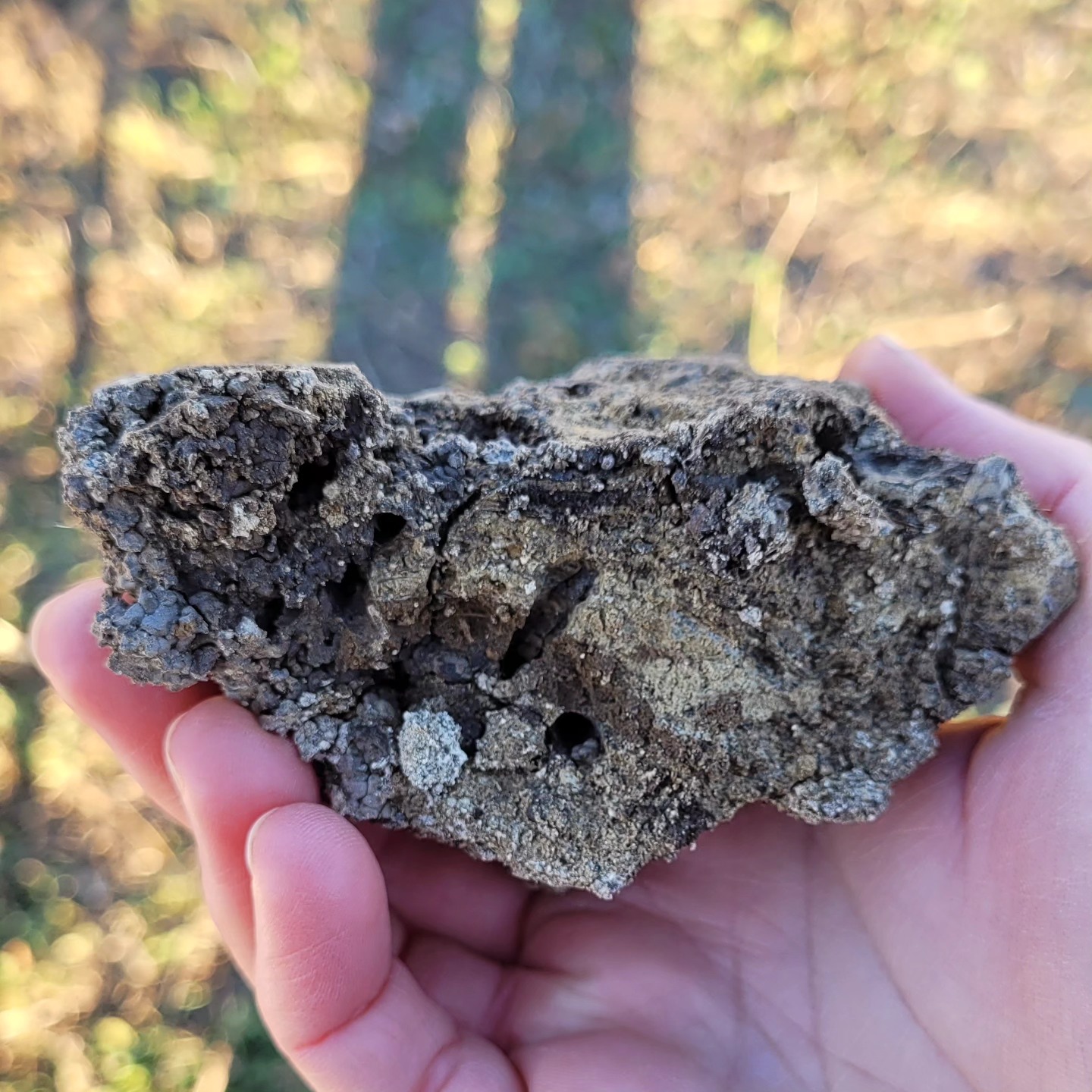 Harvest Science Fest at the Muskeg Lake Cree Nation Food Forest - Soil