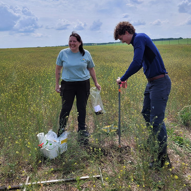 People using an auger to collect soil samples
