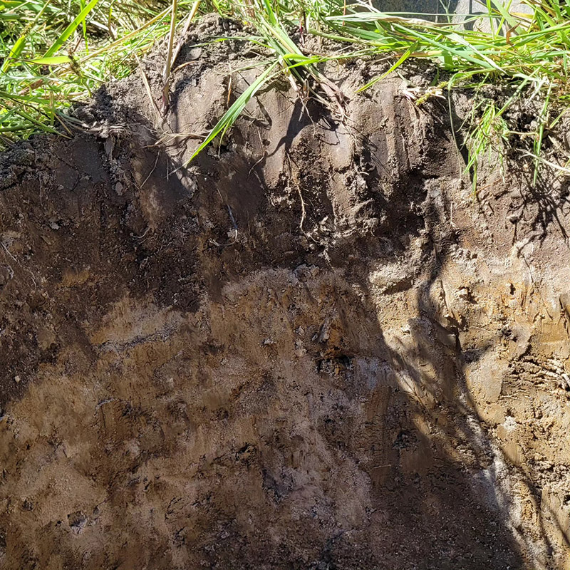 Soil Pit