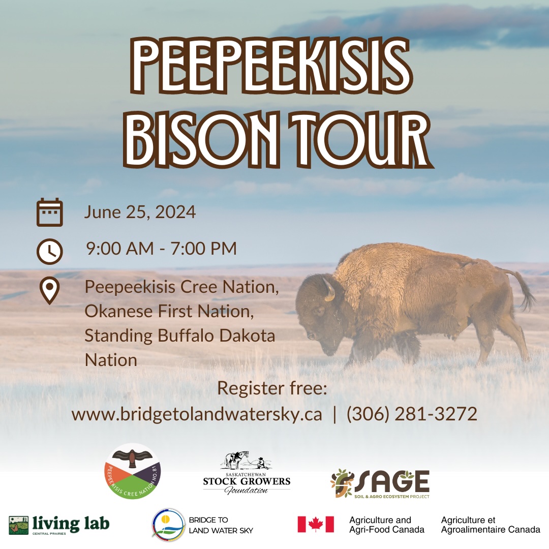 Peepeekisis Bison Tour