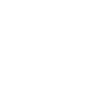 SAGE Icon