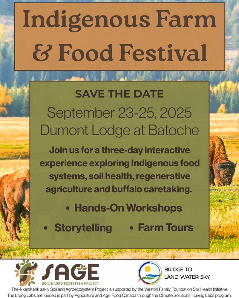 Indigenous Farm Festival Poster with Vegetables